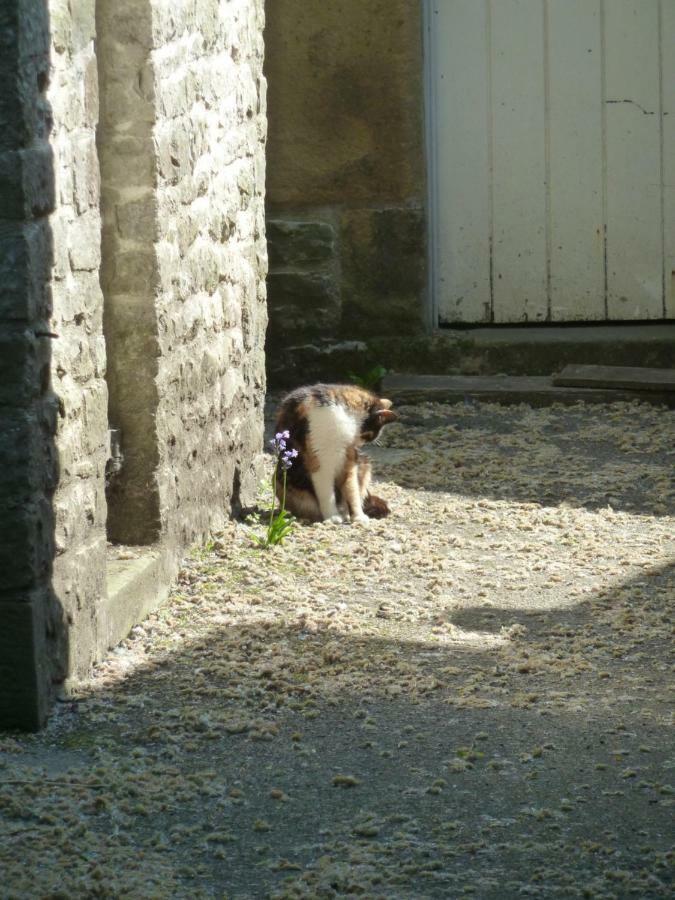 The Old Vicarage B&B Tideswell Extérieur photo